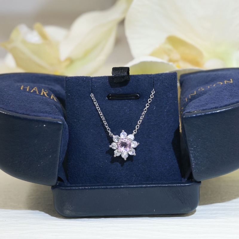 HARRY WINSTON